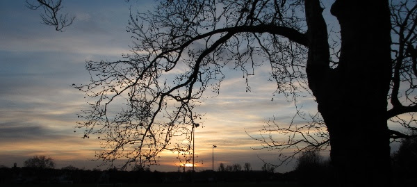 Sunset | Friends of Gladstone Park