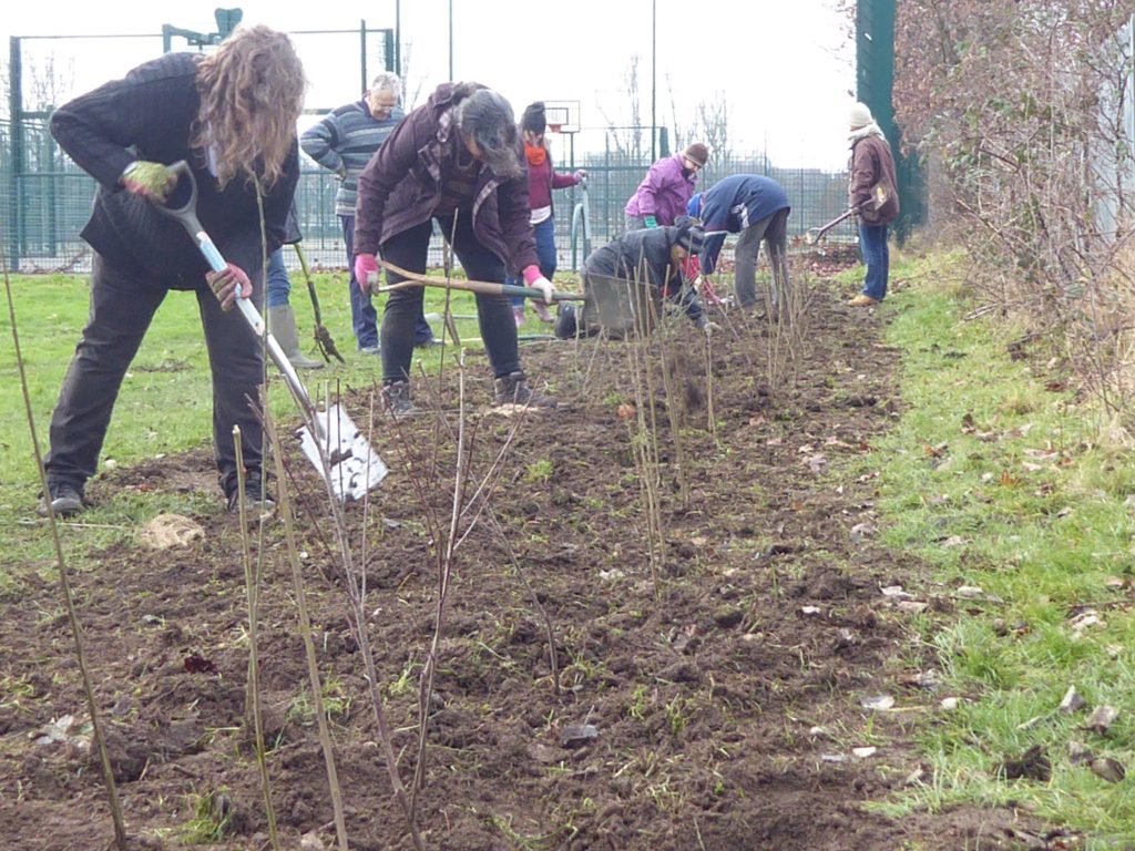 Gladstone Gardening Group | Friends of Gladstone Park