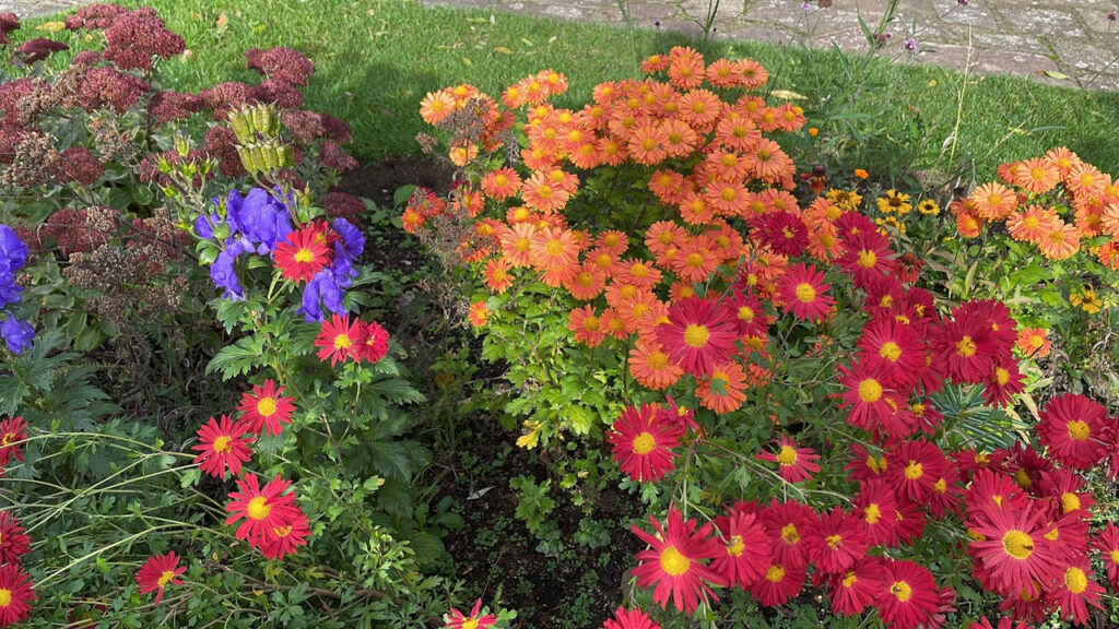 Flowers | Friends of Gladstone Park