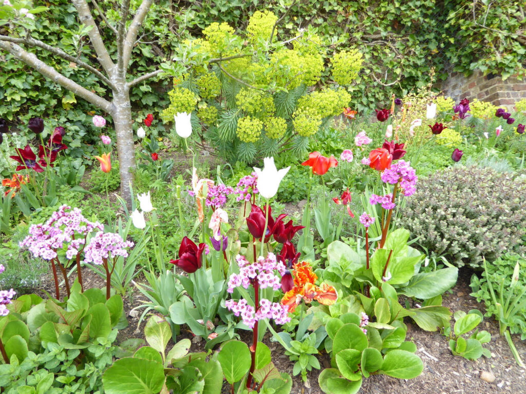 Walled Garden | Friends of Gladstone Park