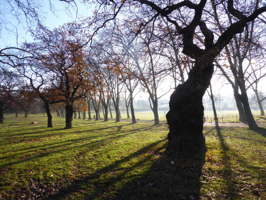 Gladstone Park | Friends of Gladstone Park